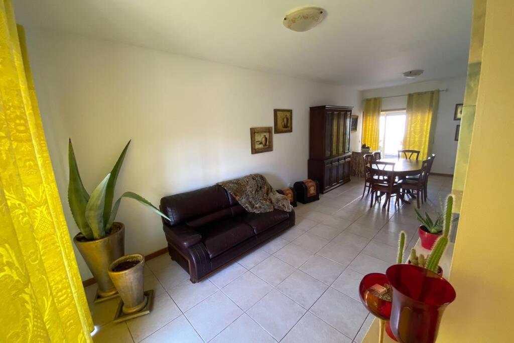 Apartmán Casa Petroleiro Albergaria-a-Velha Exteriér fotografie