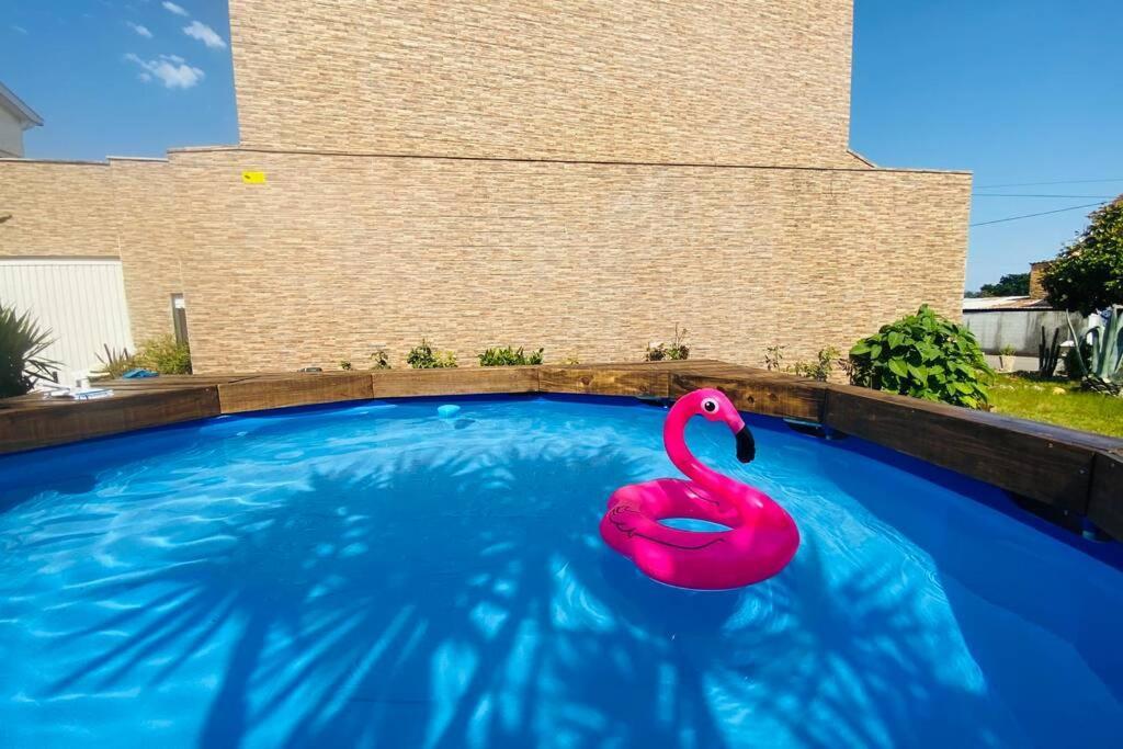 Apartmán Casa Petroleiro Albergaria-a-Velha Exteriér fotografie