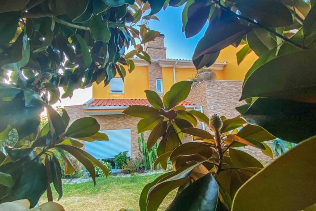 Apartmán Casa Petroleiro Albergaria-a-Velha Exteriér fotografie
